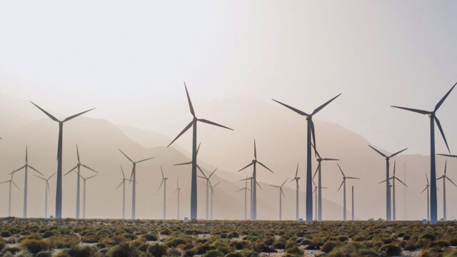 environmental-nonprofit-25