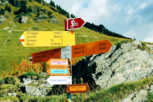 Foto von tommao wang auf Unsplash